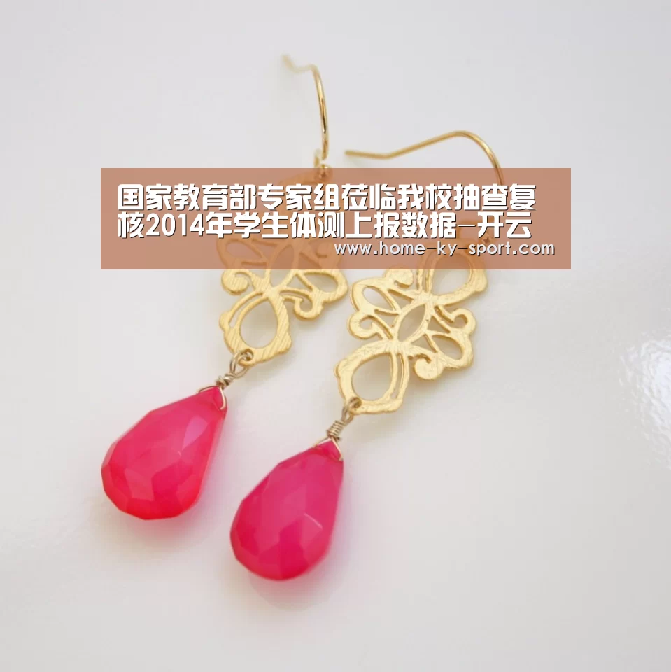 国家教育部专家组莅临我校抽查复核2014年学生体测上报数据-开云(图2) 开云