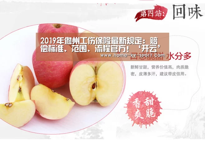 2019年儋州工伤保险最新规定:赔偿标准、范围、流程官方!‘开云’(图2) 开云体育官网